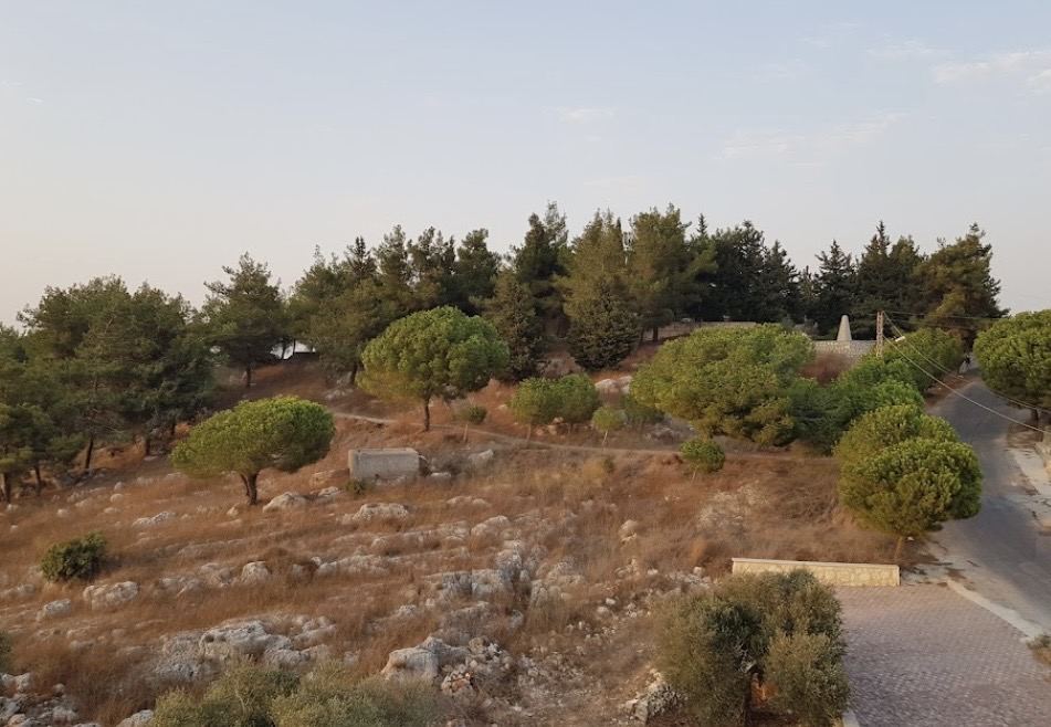 صنوبر تبنين عند الغروب، والنصب على التلّة